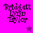 Pixelated text 'Bridgett Lydd Taylor' on purple backgrounds with a star symbol, show different background shades and star colors