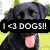 A static image of a black dog with tongue out, a brown and black dog, and a green background with text overlays.