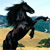 Animals icons for AIM, MSN, MySpace and Yahoo