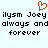 Red pixelated heart symbol above black text reading 'ilysm Joey ilysm Joey always and always and forever forever' on light blue background.