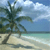 Pixelated beach scene with palm tree, sandy shore, turquoise water, and blue sky with white clouds.