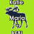 A green background displays a dark blue moose with white antlers and text in pixelated font, showing multiple textual states across observations.
