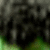 A 2x2 contact sheet of three sampled frames from an animated icon showing a green-skinned character with dark hair and facial features in close-up views.