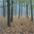 Pixelated forest scene with tall dark tree trunks, light brown ground, and muted green and blue foliage under a hazy sky.