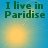 Green text 'I live in Paradise' on blue background with yellow sun-like glow and small white dots, four