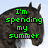 A horse's head appears in six with changing text overlays: green 'I'm spending my summer', red 'Wild', blue 'Crazy', pink 'and altogether dangerous!!!', green 'Just the horses I'm hanging with', and a final showing only the horse