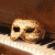 Pixelated image of a light brown skull resting on a white surface against dark and brown background.