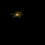 Animated sequence of golden text and light effects on black background, transitioning from starbursts to 'Loro' lettering with lens flares.