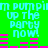 Green background with cyan text repeating 'pump up the party now!' and pink horizontal bars below each text block.