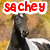A four- shows a horse's head with changing expressions and text above each