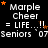 Black background with white text reading "Marple Cheer = LIFE...!! Seniors '07" and orange stars, showing animation changes in star positions across frames.