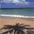Pixelated beach scene with palm tree silhouette against sandy shore and blue water under cloudy sky.