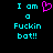Pixelated cyan text on black background reads "I am a Fuckin bat!!" with pink heart symbol replacing the 'o' in 'am'.