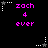Pixelated icon with pink text 'zach 4 ever' on black background, surrounded by white and gray star-shaped border elements.