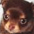 Pixelated close-up of a cartoon animal face with large eyes and brown fur, rendered in warm tones.