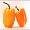Two orange bell peppers with green stems stand side-by-side against a light background.