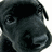 Pixelated grayscale image of a dark, rounded object with irregular edges and internal shadowing against a white background.