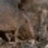 A blurry, pixelated image of a figure in motion with indistinct background elements.