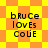 Pixelated text 'bruce loves cole' on a yellow-orange checkered background with alternating diamond shapes.