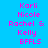 text labels on a blue background with green highlight boxes, displaying names and abbreviations in pink pixelated font