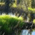 Pixelated static image showing a blurred green and yellow landscape with dark patches and light streaks.