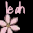 Pixelated pink flowers and stylized text on a black background in an animated contact sheet frame.