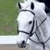 A pixelated close-up of a white horse's head with dark eyes and black bridle straps, set against a blurred green background.