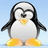 Pixelated penguin with black wings, white body, yellow beak and feet stands against light blue background; text overlays change across frames.