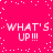 Bright pink background with white pixelated text reading "WHAT'S UP!!!" repeated four times in a pattern, surrounded by scattered white dots