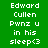 Pixelated text on four colored backgrounds: green, teal, blue, and dark teal, each displaying 'Edward Cullen Pwnz u in his sleep<3' in white block letters.