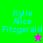 Four display 'Kylie Alice Fitzgerald' text with star symbols; top-left green background has pink star, bottom-left magenta background has green star