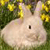 Pixelated image of a light-colored rabbit with upright ears, dark eye, and pink nose, positioned against a background of green foliage and yellow flowers.