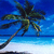 Pixelated palm tree with green fronds and brown trunk against blue sky and water background.