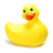 Yellow rubber duck with blue eyes and red beak on white background, next to red with text "JOCK" and "DUCKS"