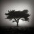 Black-and-white pixelated image of a tree with dense foliage against a gradient background transitioning from light gray at the top to dark gray at the bottom.