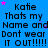 Blue background with repeated black text 'Katie Thats my Name and Dont wear IT OUT!!!!!' surrounded by pink stars.