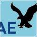Static AIM buddy icon featuring a black eagle silhouette with outstretched wings against a light blue background, partially overlapping large blue 'AE' text.