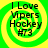 Four identical circular icons with green and yellow spiral backgrounds display "I Love Vipers Hockey #73" text in black pixelated font.