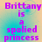 Pixelated text reads "Brittany is a spoiled princess" in purple letters over a gradient background shifting from cyan to peach.