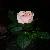 Pixelated icon of a light pink, rounded face with two dark brown eyes and small mouth on dark green foliage against black background.