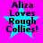 Four identical pixelated icons display "Aliza Loves Rough Collies!" text over a cyan star on bright pink background.