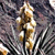 Pixelated figure in dynamic pose with arms raised against dark background, rendered in brown and white tones with visible pixelation.