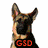 Four German Shepherd dog images arranged in a with text overlays: GSD, Family, Loyal, Cute