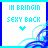 identical square icons with blue borders, each displaying 'IM BRINGIN SEXY BACK' text and a small downward arrow on white backgrounds