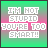 Two side-by-side pixelated text on a green-to-pink gradient background with bold white text reading "I'M NOT STUPID YOU'RE TOO SMART!!"