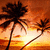 Silhouetted palm trees against a gradient sunset sky with orange and yellow hues over a calm sea horizon.