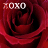 Red rose close-up with 'XOXO' text and white heart symbols appearing in different positions across frames.
