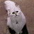 A 50x50 pixel animated buddy icon featuring a white cat on the left and green text "Original Icons .com" on the right, displayed as a contact sheet with two frames.