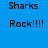 Blue background with black text reading "Sharks" and "Rock!!!!" in two , featuring a bright white circular glow effect on the lower-left portion of the image