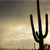 Silhouette of a tall saguaro cactus with multiple arms against a gradient sky transitioning from dark gray to light beige.
